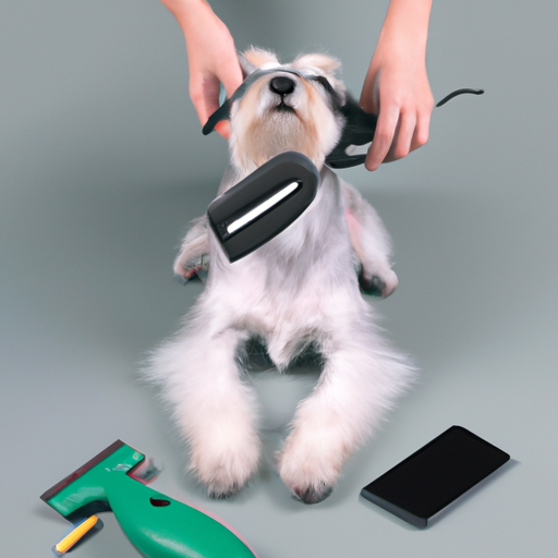 תמונה של כלב מטופח, מראה מגוון כלי טיפוח
